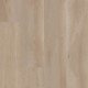 Shaw Floors – Coastal Drift Shaw Floors – Coastal Drift